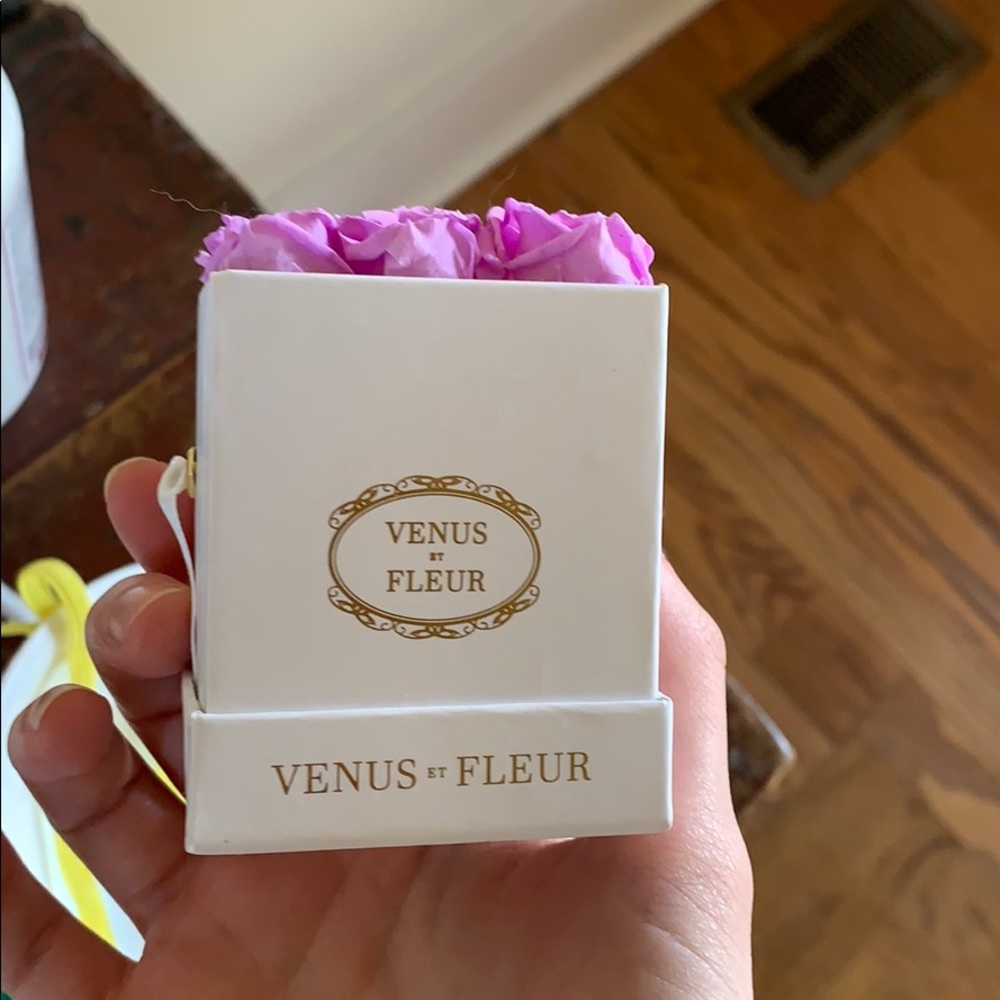 Venus Et Fleur Mini Bouquet